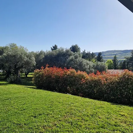Des Oliviers Climatisee Avec Piscine Privee Volonne
