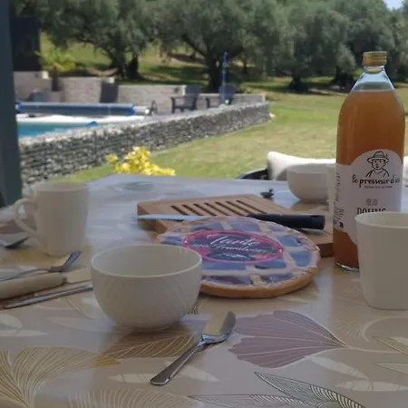 Des Oliviers Climatisee Avec Piscine Privee *